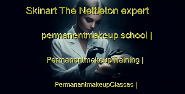 Skinart The Nettleton expert permanentmakeup school | PermanentmakeupTraining | PermanentmakeupClasses | SkinartTraining-United States